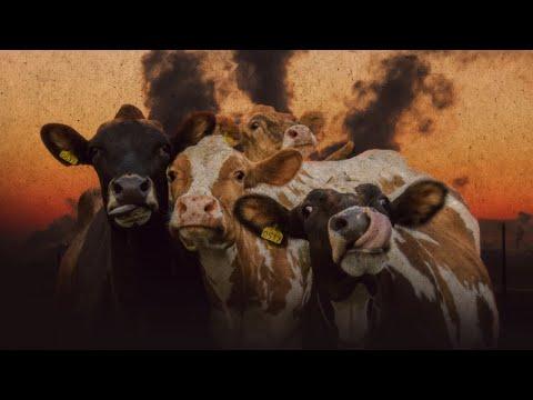 LIBERTAÇÃO ANIMAL, VEGANISMO POPULAR E ECOSSOCIALISMO