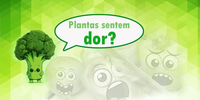 Plantas sentem dor?